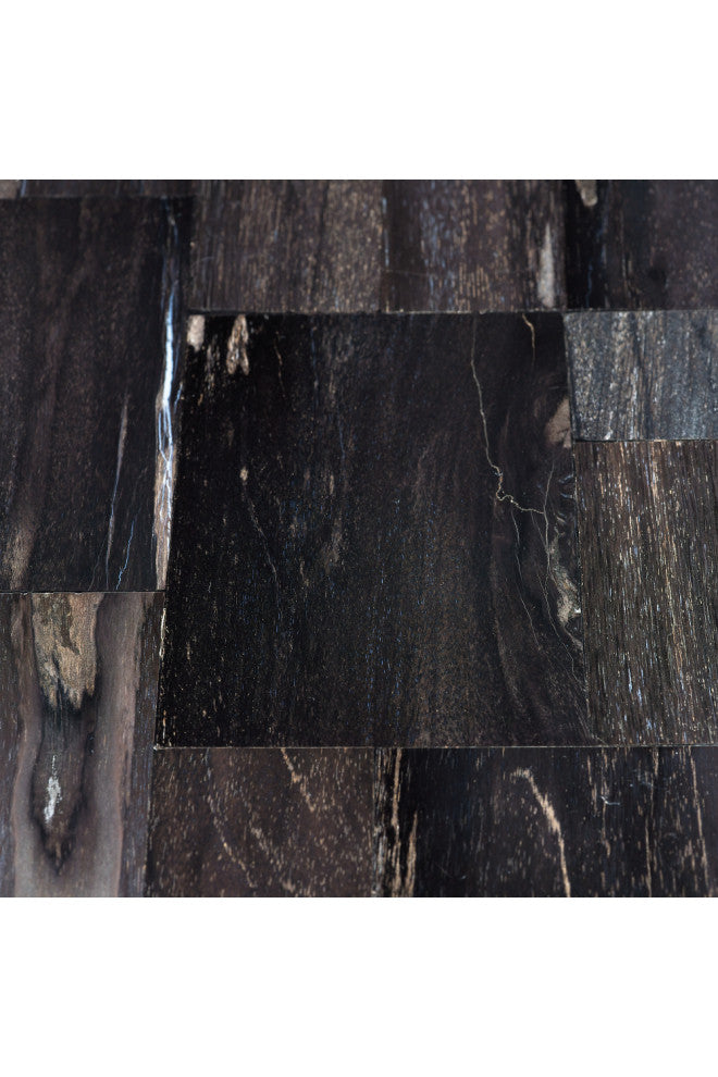 Rectangular Petrified Wood Coffee Table | Andrew Martin Luca