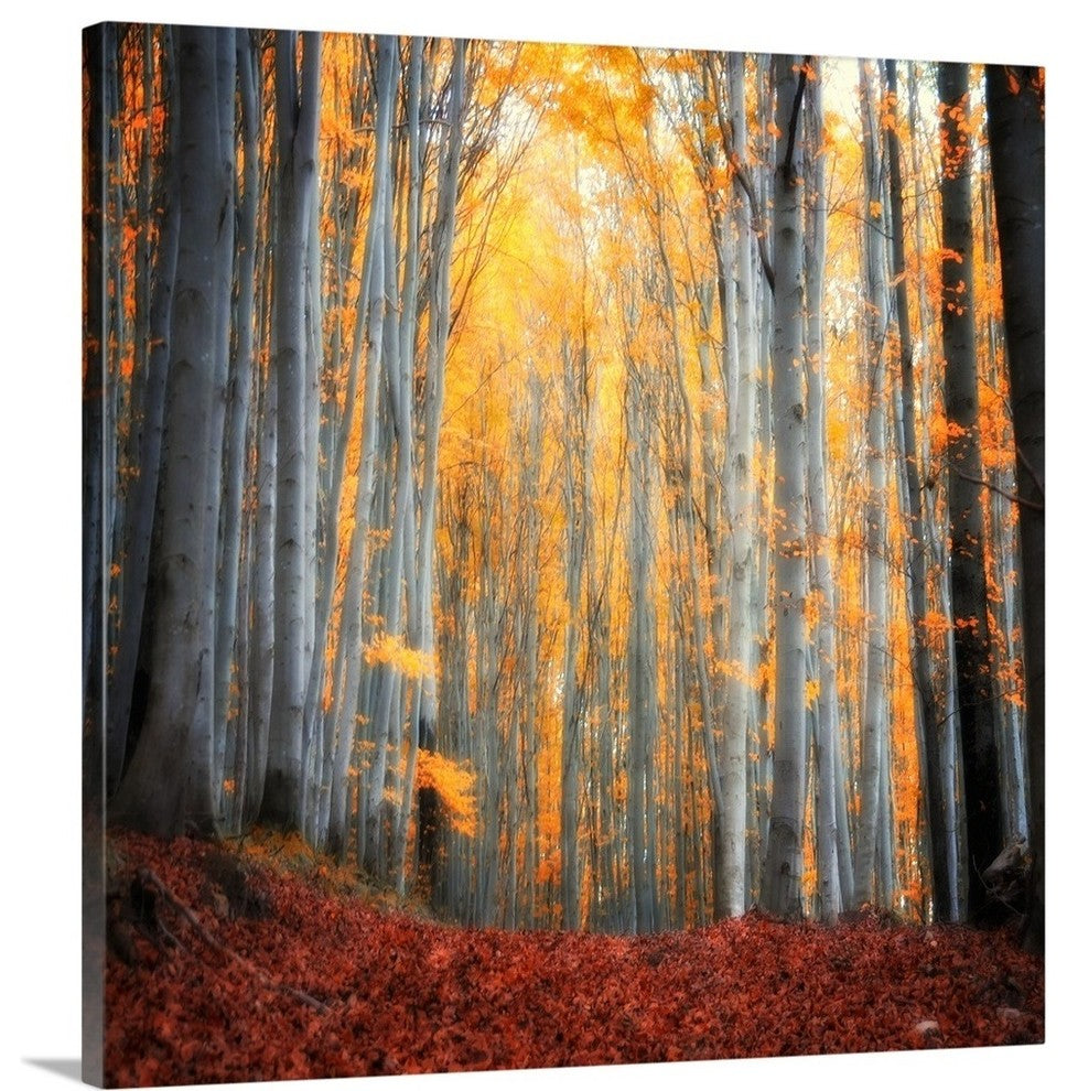 "Here Comes the Sun" Wrapped Canvas Art Print, 20"x20"x1.5"