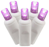 70Lt Led Purple/Ww Wideangle Icicleec 9'
