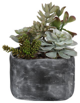 Uttermost Alverio Desert Garden Succulents