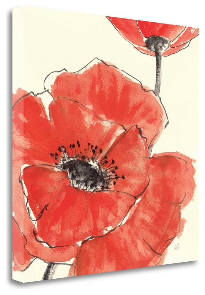 "Spring Poppy II" By Chris Paschke, Giclee Print on Gallery Wrap Canvas