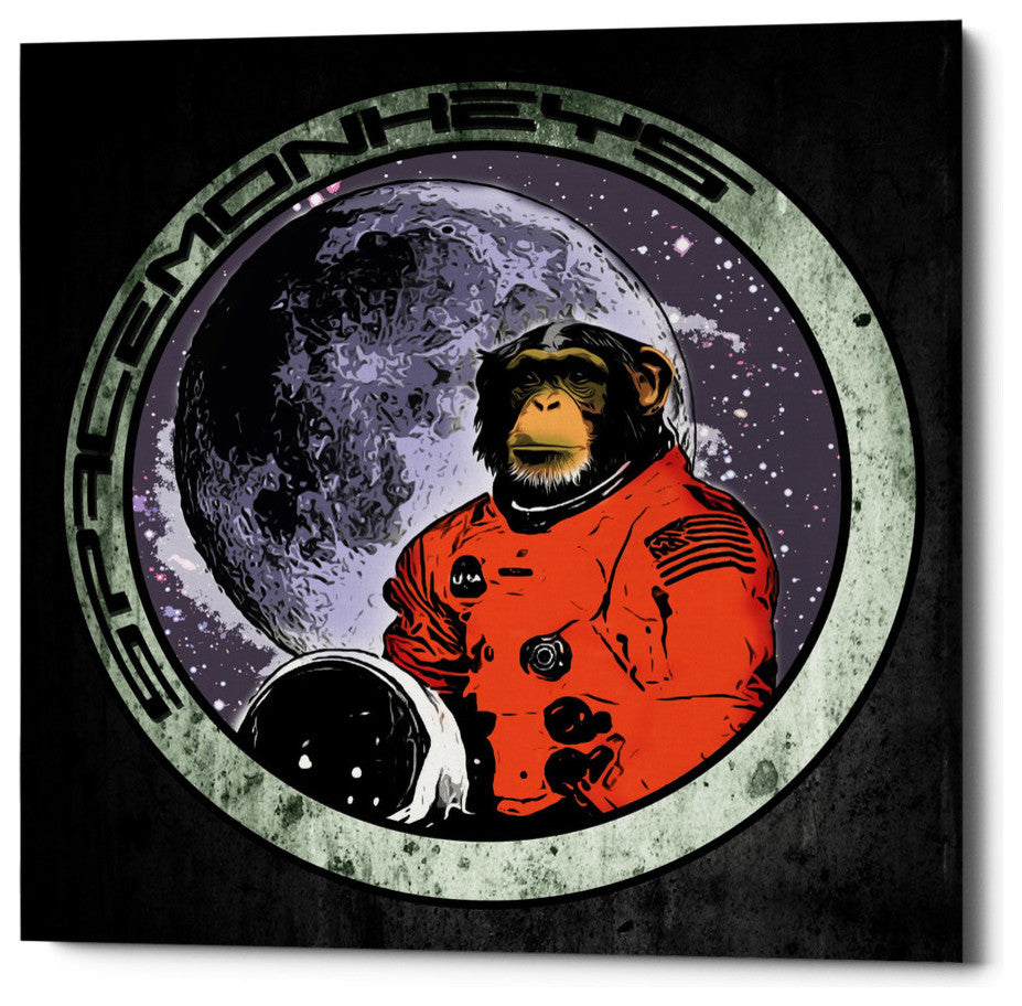 Cortesi Home "Space Monkeys" by Nicklas Gustafsson, Giclee Canvas Art, 26"x26"