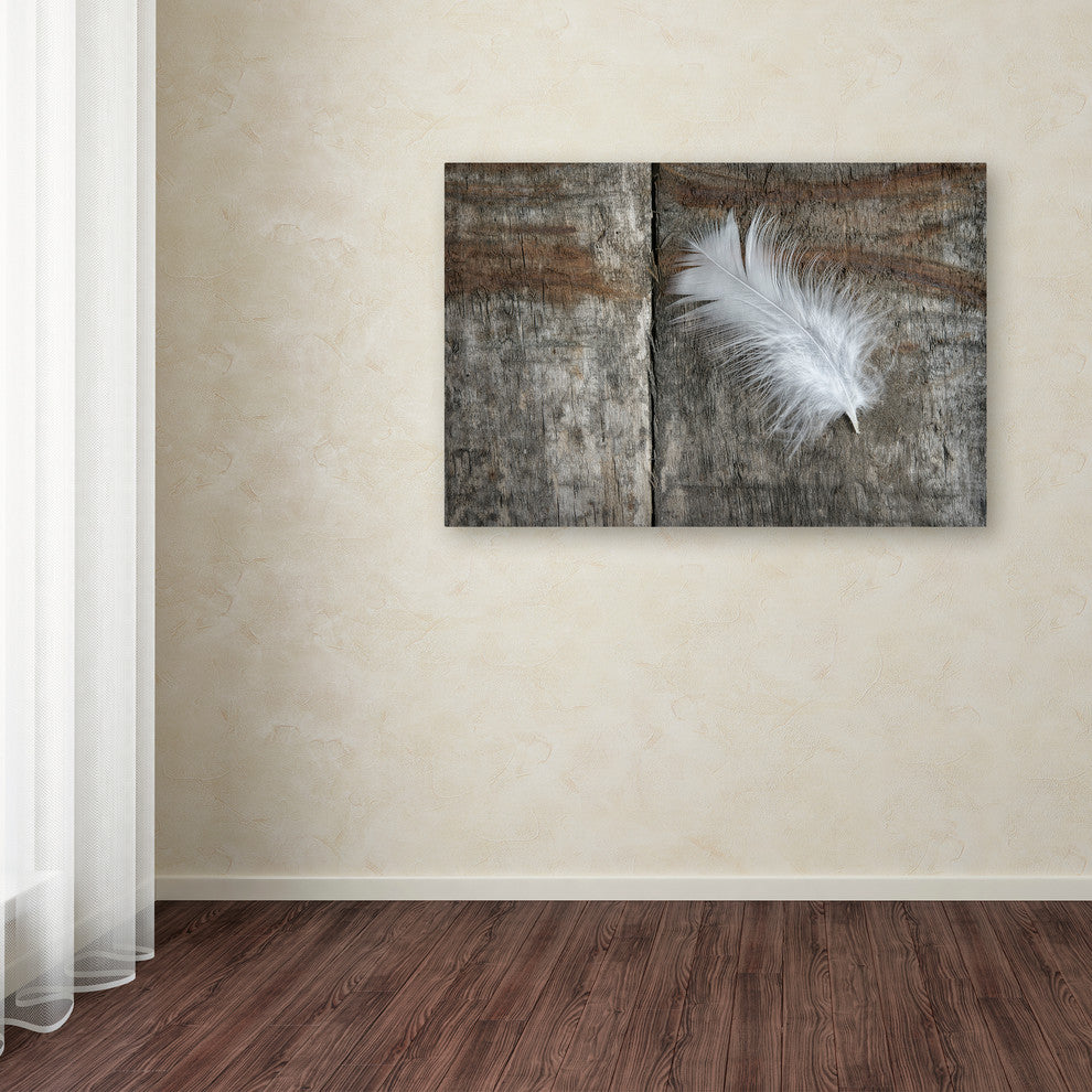 Cora Niele 'Feather on Wood II' Canvas Art