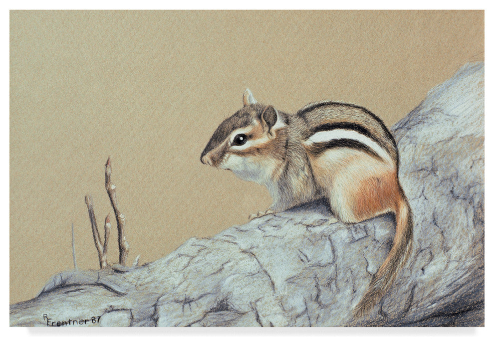 Rusty Frentner 'Chipmunk' Canvas Art, 19"x12"
