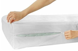 Hypoallergenic Waterproof Mattress, Bed Bug Proof, Queen, 60'' X 80''