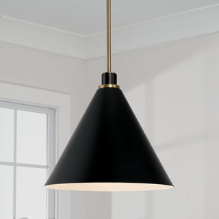 Capital Lighting Bradley 1-Light Pendant 350112AB Aged Brass and Black