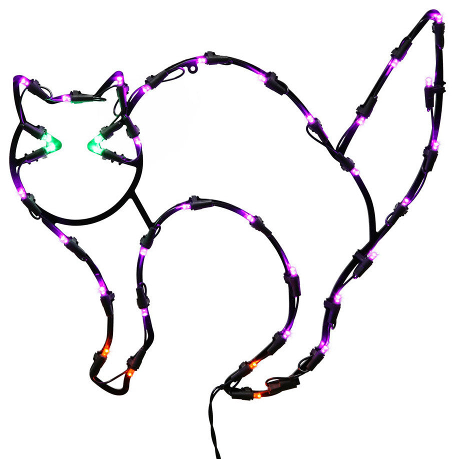 35Lt Ledcat Window Decor 16X14"