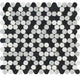Carrara White Marble Polished Penny Round Mosaic  w/Carrara-Thassos-Black
