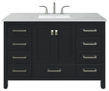 Eviva Aberdeen 48"Wx22"D Bathroom Vanity, White Carrara Quartz Countertop