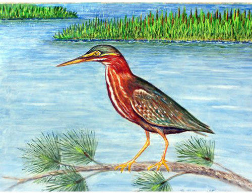 Betsy Drake Green Heron II 30 Inch By 50 Inch Comfort Floor Mat