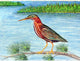 Betsy Drake Green Heron II 30 Inch By 50 Inch Comfort Floor Mat