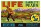 "Life Brand Bartlett Pears" Digital Paper Print by Retrolabel, 32"x22"