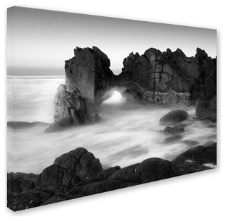 'Gate' Canvas Art by Moises Levy