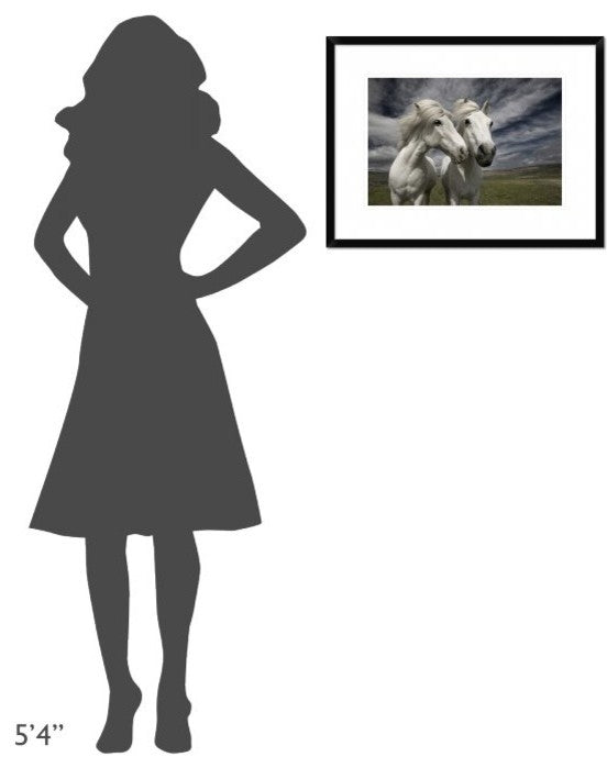 "Inseparables" Framed Digital Print by Bragi Ingibergsson, 26"x20"