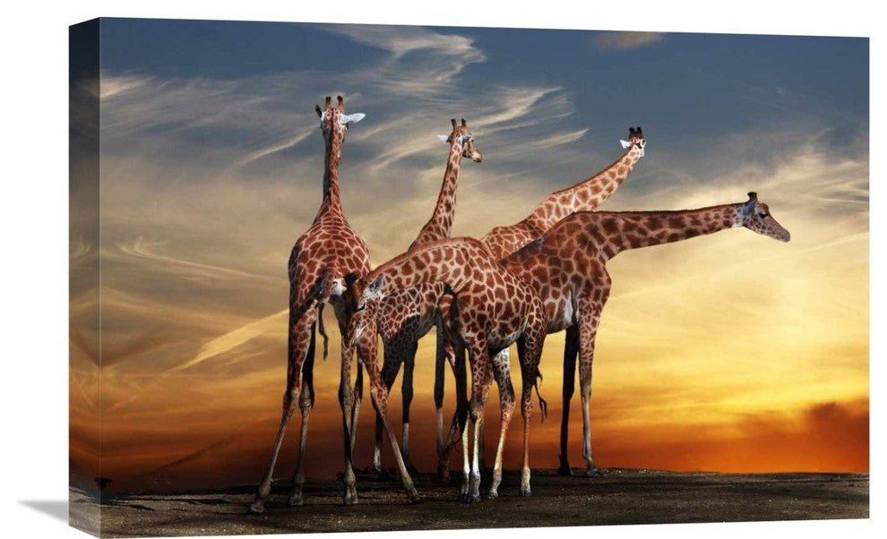 "Untitled" Stretched Canvas Giclee by Anna Cseresnjes, 22x15"