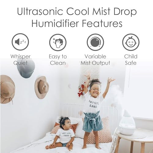 Ultrasonic Cool Mist Humidifiers, Clear and White