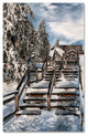 ''Watch Your Step'' Canvas Art by Lois Bryan