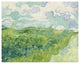 "Green Wheat Fields, Auvers, 1890" Paper Print by Vincent van Gogh, 42"x32"