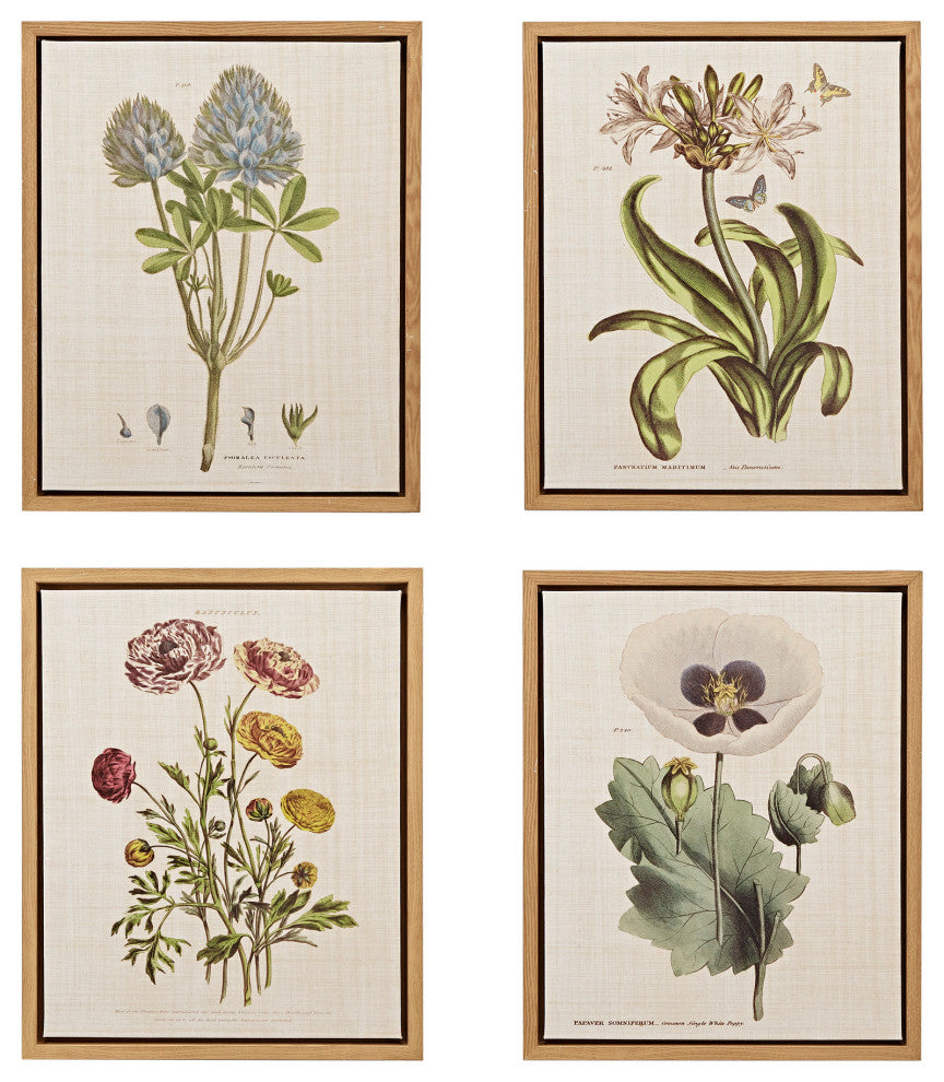 Madison Park Herbal Botany Framed Linen Canvas 4 Piece Set