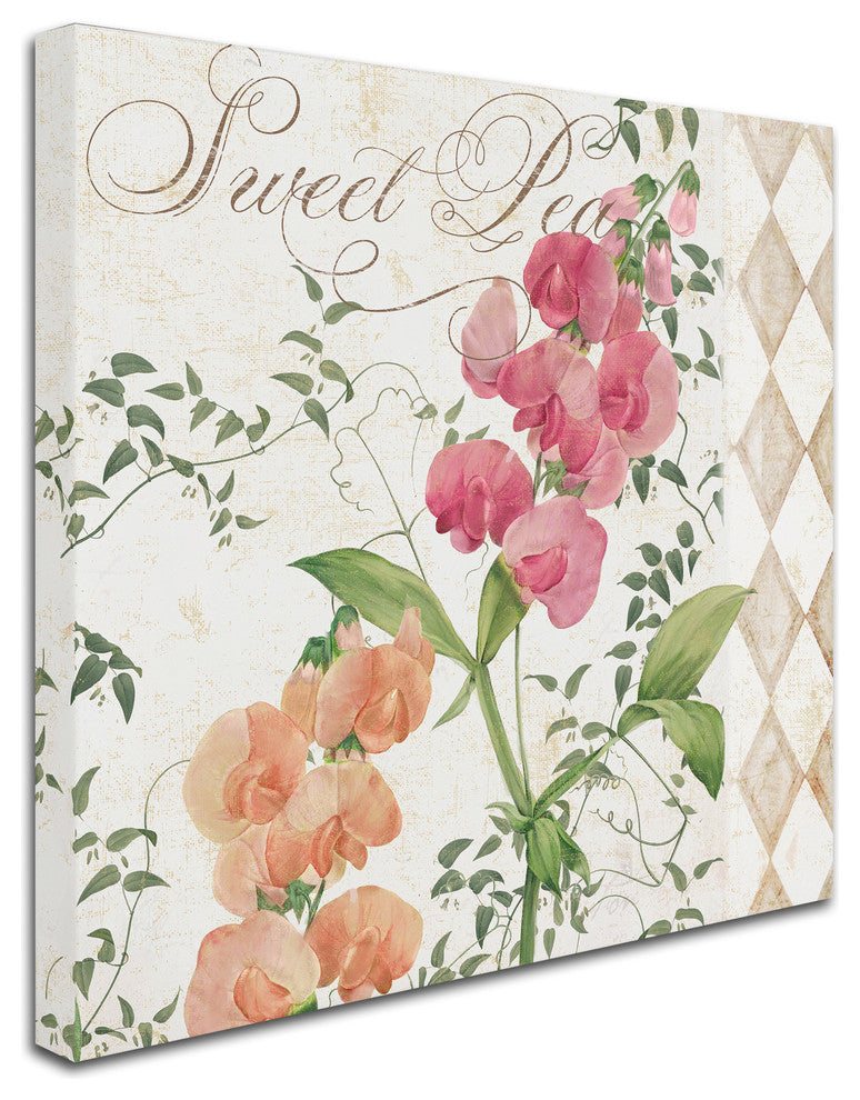 Color Bakery 'Sweet Pea' Canvas Art, 14"x14"