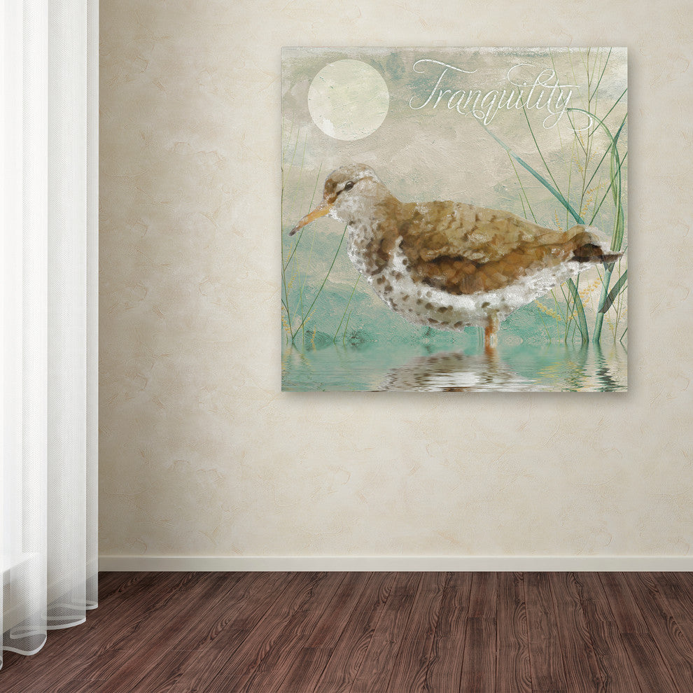 Color Bakery 'Sand Piper II' Canvas Art, 14"x14"