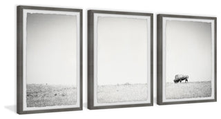 A Lone Bison Triptych, Set of 3, 12x18 Panels
