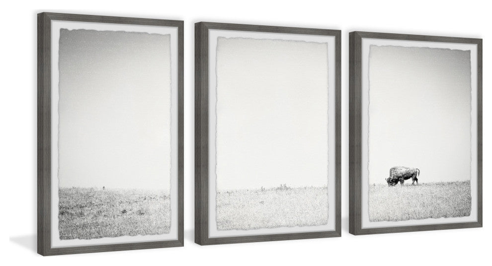 A Lone Bison Triptych, Set of 3, 12x18 Panels