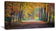 "Wide Pathway in Yellow Fall Forest" Canvas Print, 40"x20"