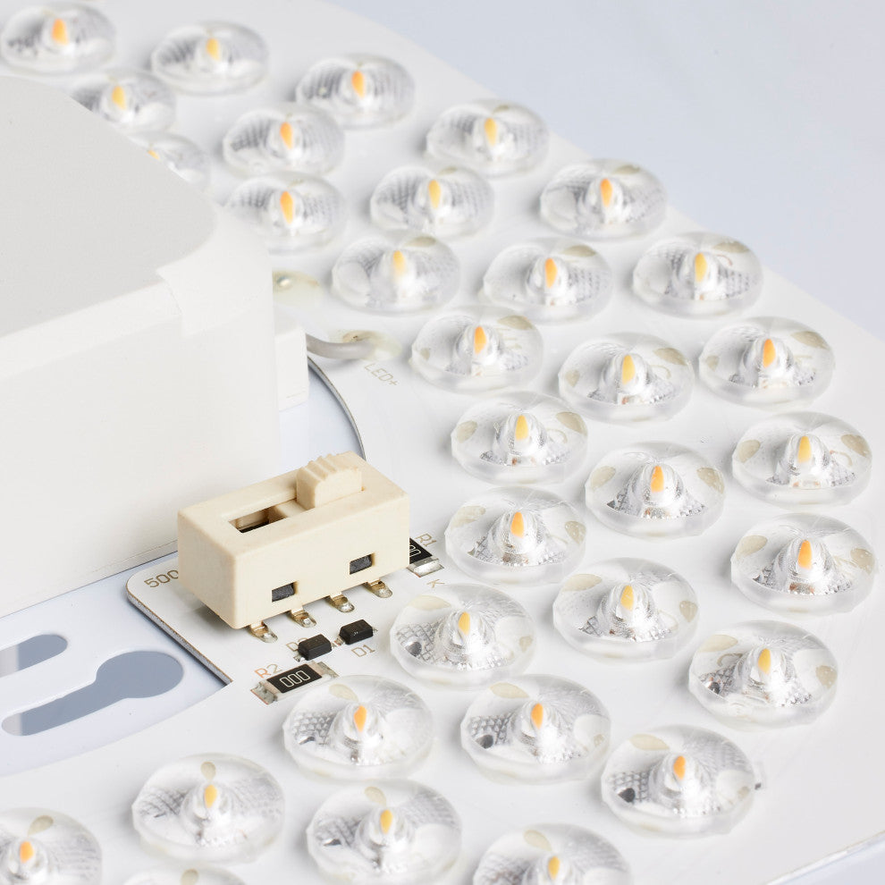 19 inch - Flush Mounted LED Fixture - CCT Selectable - Round - White Acrylic - w