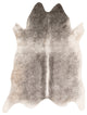 Grand Canyon GC-11 Gray Ivory Area Rug, 3'10"x5'