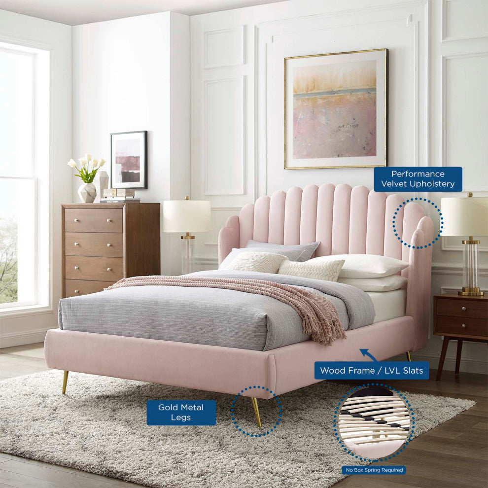 Platform Bed Frame, Queen Size, Velvet, Pink, Modern Contemporary, Bedroom