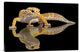 "Leopard Gecko" Stretched Canvas Giclee by Dikky Oesin, 30"x20"