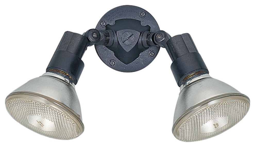 Generation Lighting 8642 2 Light 11" Tall Outdoor Wall Sconce - Black