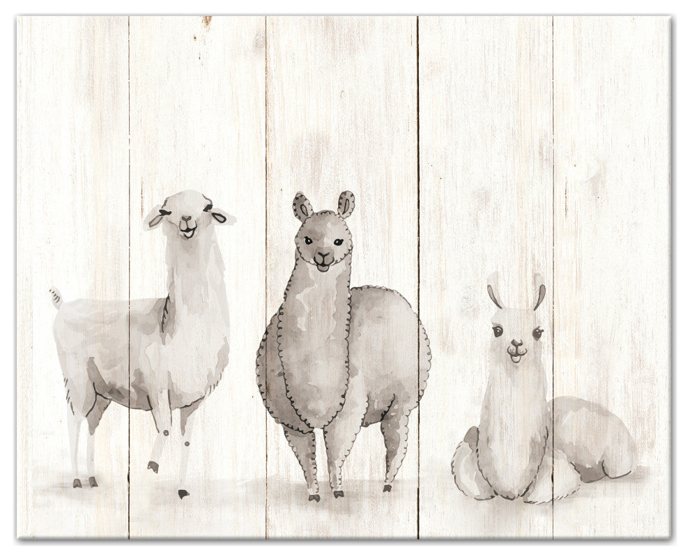 All The Llamas 20x16 Canvas Wall Art