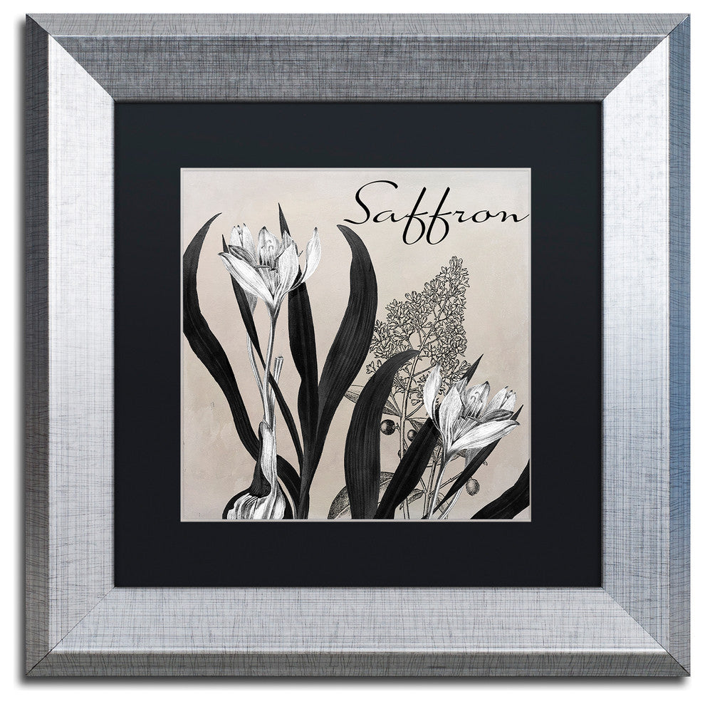 Color Bakery 'Flowering Herbs I' Art, Silver Frame, Black Matte, 11"x11"