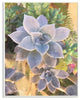 Succulent Plant Desert Party Painting Oversized Wall Plaque Art, 13"x19"