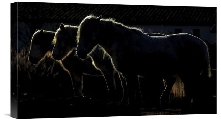 "Triplets" Stretched Canvas Giclee by Michel Romaggi, 16x9"