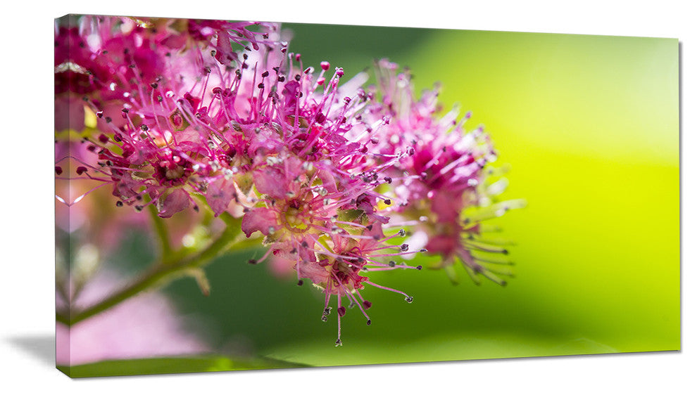 "Pink Little Flowers in Green" Canvas Print, 1 Panel, 60"x28"