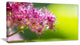 "Pink Little Flowers in Green" Canvas Print, 1 Panel, 60"x28"