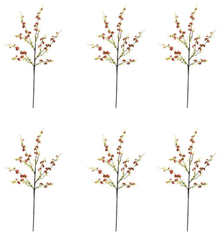 Shows the full set of six stems on a clean white background, representing the product as a set; no text or diagrams.