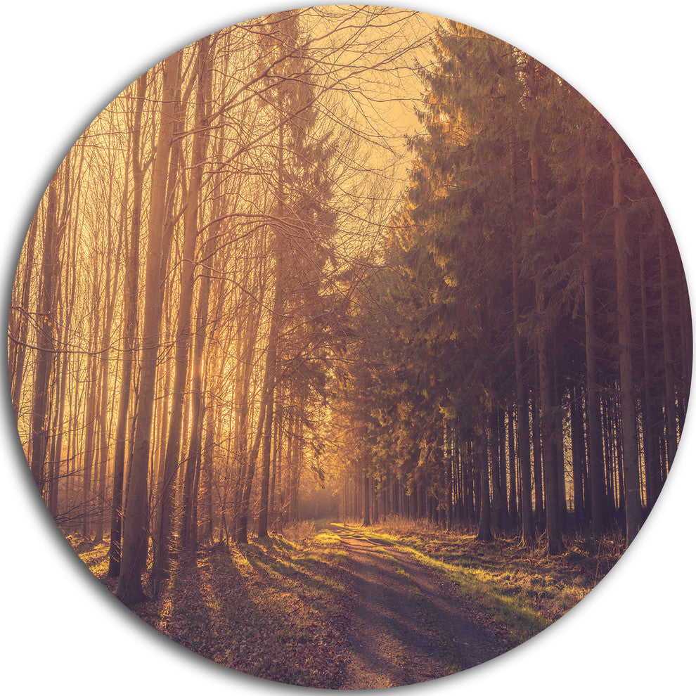 Pine Tree Forest By Road, Landscape Photo Large Disc Metal Artwork, 36"