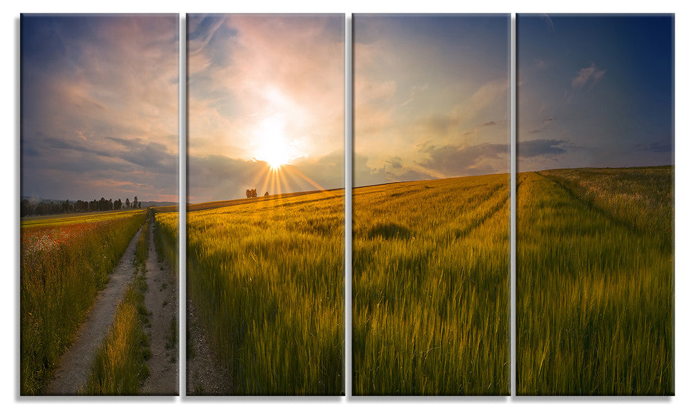 Sunset in Field of Grain Panorama, Landscape Canvas Art Print, 48"x28", 4 Panels