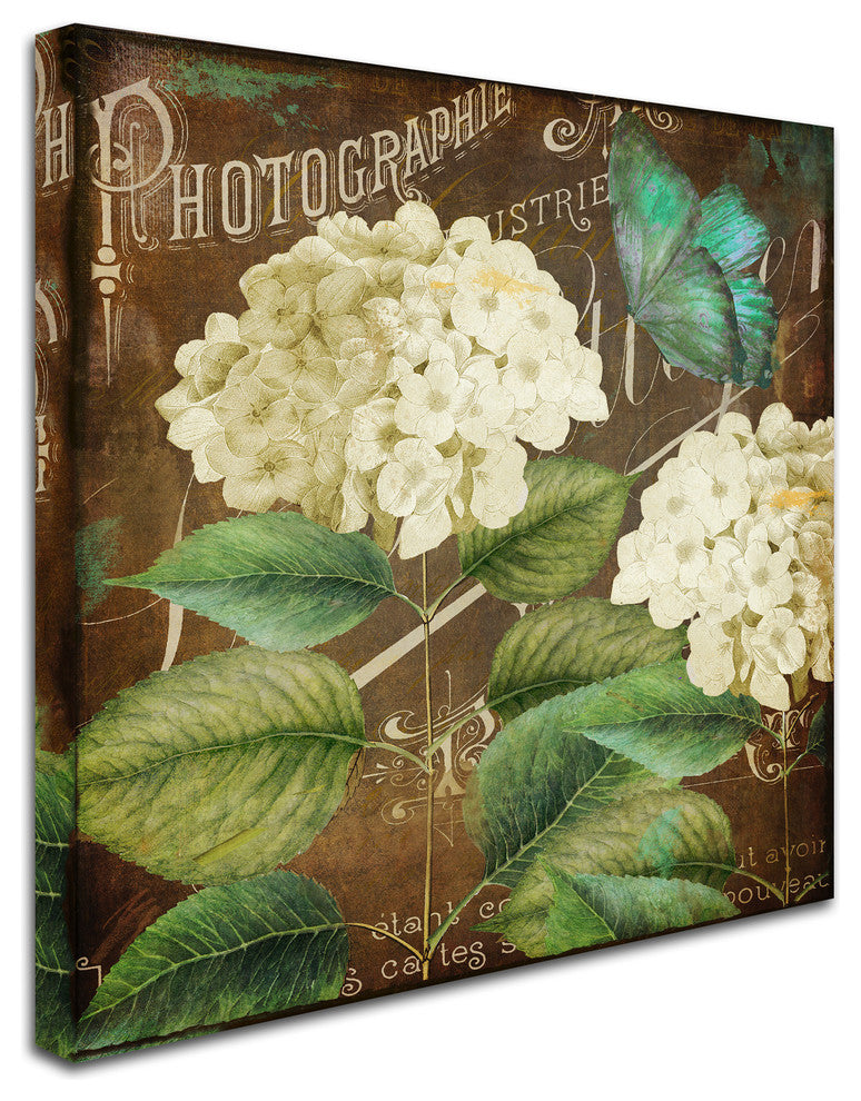 Color Bakery 'Alabaster Hydrangea' Canvas Art, 14"x14"