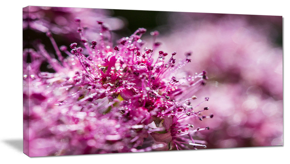 "Bright Pink Little Flowers" Flower Canvas Wall Art, 32"x16"