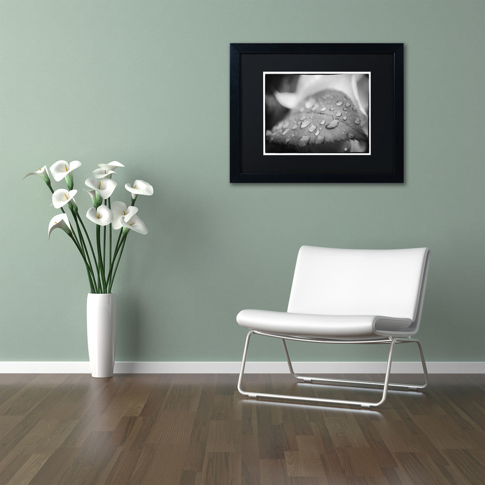 PIPA Fine Art 'Dew on Leaf of Rose Plant' Matted Framed Art, 14x11