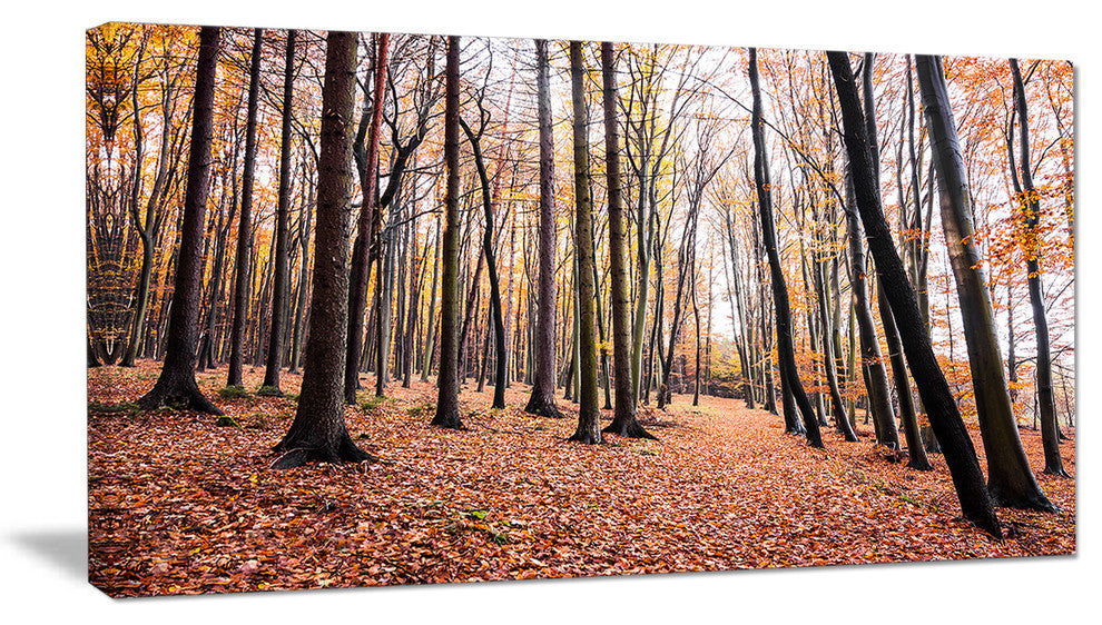 Bright Fall Forest with Clear Sky, Modern Forest Canvas Art, 32"x16"
