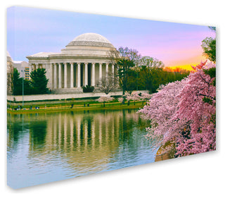 'Cherry Blossoms 2014-6' Canvas Art by CATeyes