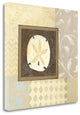 24" Sandollar With Multi-Pattern Background Giclee Wrap Canvas Wall Art