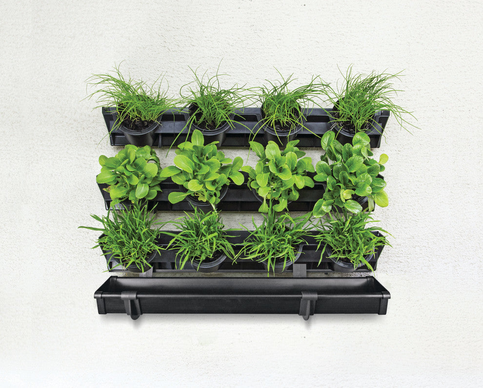 Watex Picture Garden Starter Kit