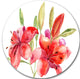 Lily Flowers Illustration, Floral Disc Metal Artwork, 11"